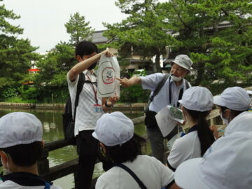 ニュースの写真2