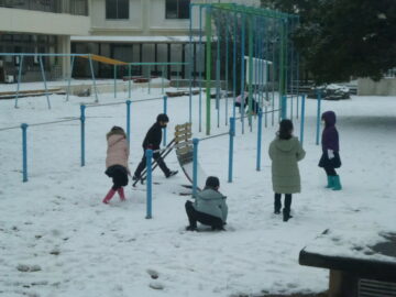 ニュースの写真5