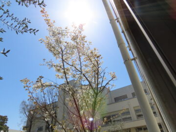 ニュースの写真12