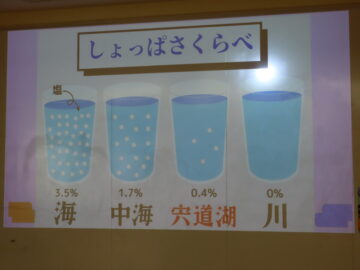 ニュースの写真4