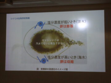 ニュースの写真6
