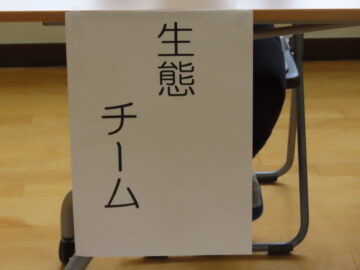 ニュースの写真17
