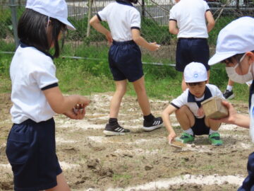 ニュースの写真11