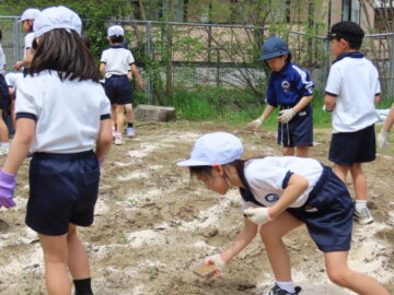 ニュースの写真12