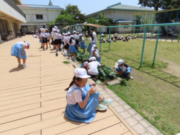 ニュースの写真6