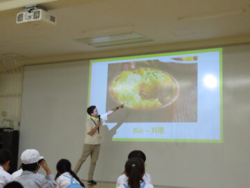 ニュースの写真11
