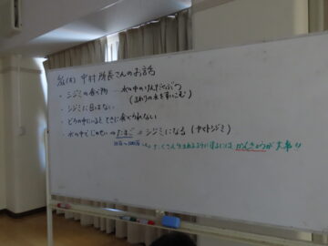 ニュースの写真6