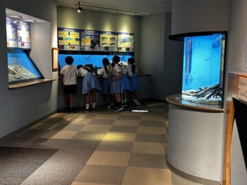 ニュースの写真1