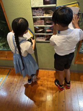 ニュースの写真3