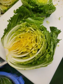 ニュースの写真3