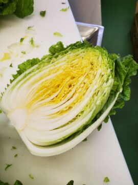 ニュースの写真2