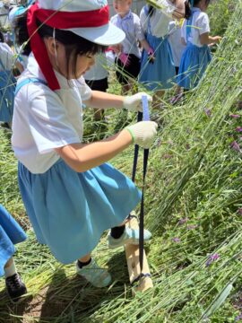 ニュースの写真3