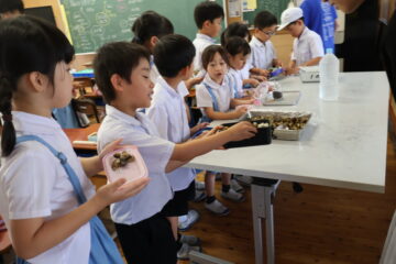 ニュースの写真17