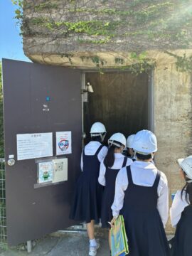 ニュースの写真5