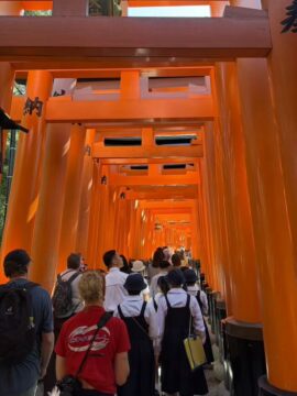 ニュースの写真5