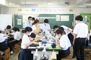 ニュースの写真3