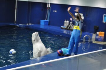 ニュースの写真10
