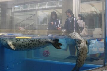 ニュースの写真9