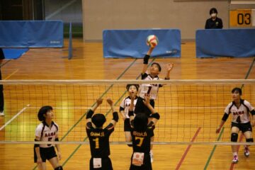 ニュースの写真6