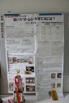 ニュースの写真