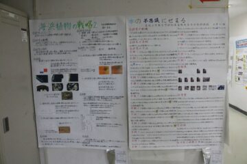 ニュースの写真4