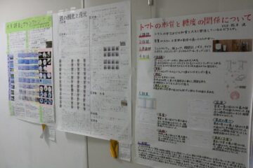 ニュースの写真5