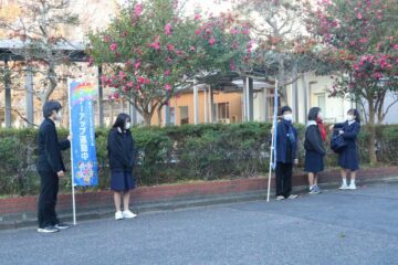 ニュースの写真2