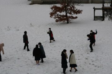 ニュースの写真15