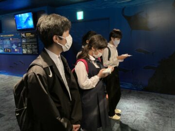 ニュースの写真4