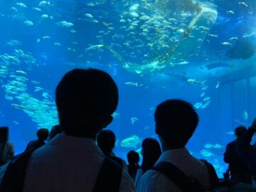 ニュースの写真5