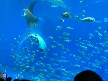 ニュースの写真9