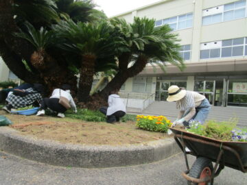 ニュースの写真3