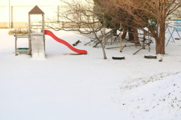ニュースの写真2