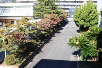 ニュースの写真2