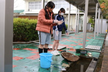 ニュースの写真11