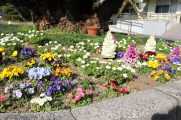 ニュースの写真13