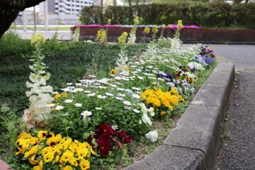 ニュースの写真9