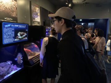 ニュースの写真2