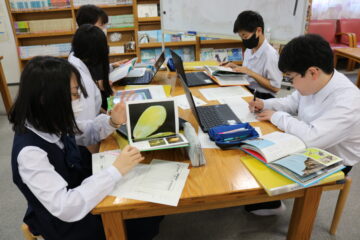 ニュースの写真6