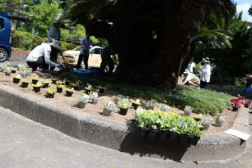 ニュースの写真10