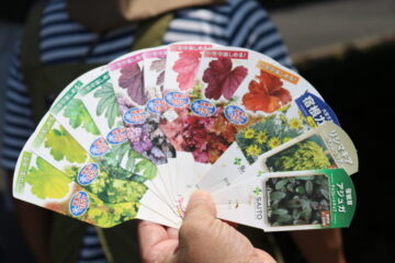 ニュースの写真11