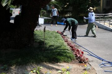 ニュースの写真16
