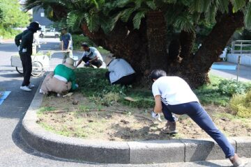 ニュースの写真2
