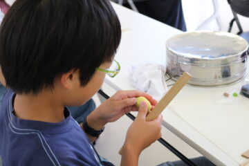 ニュースの写真12