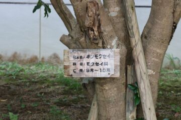 ニュースの写真3