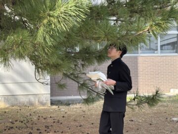 ニュースの写真13