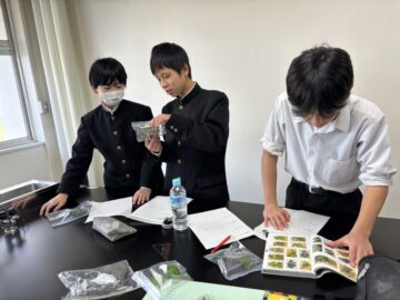 ニュースの写真5