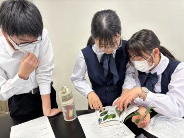 ニュースの写真7