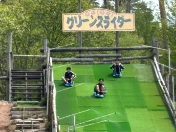 ニュースの写真14
