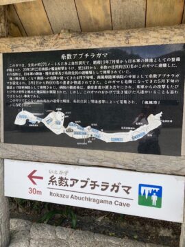 ニュースの写真2
